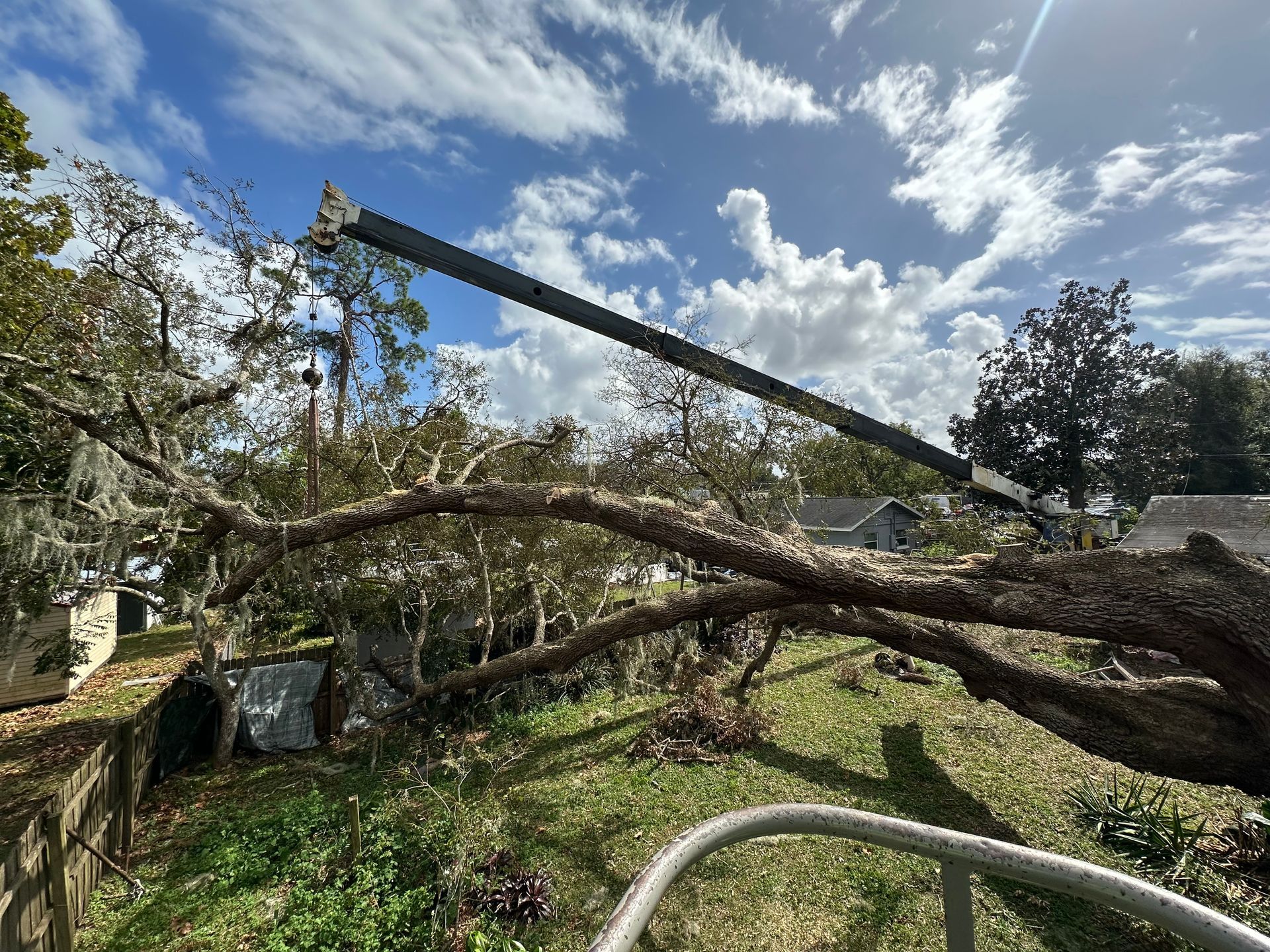 A large tree branch is laying on the ground in front of a house.
