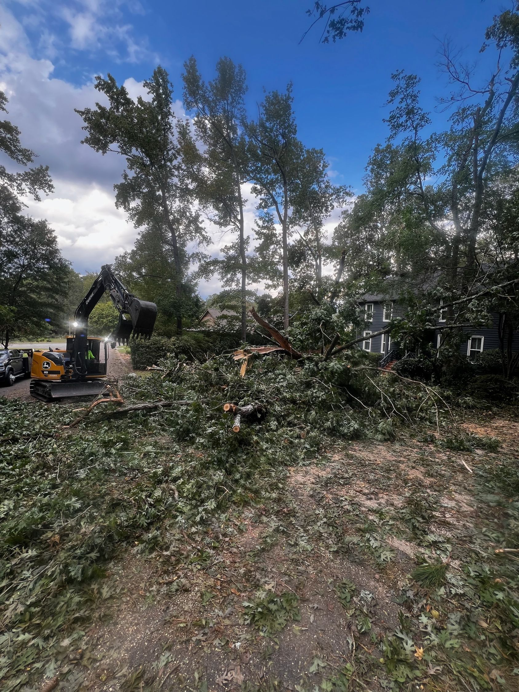 A tractor is cutting down trees in a yard.