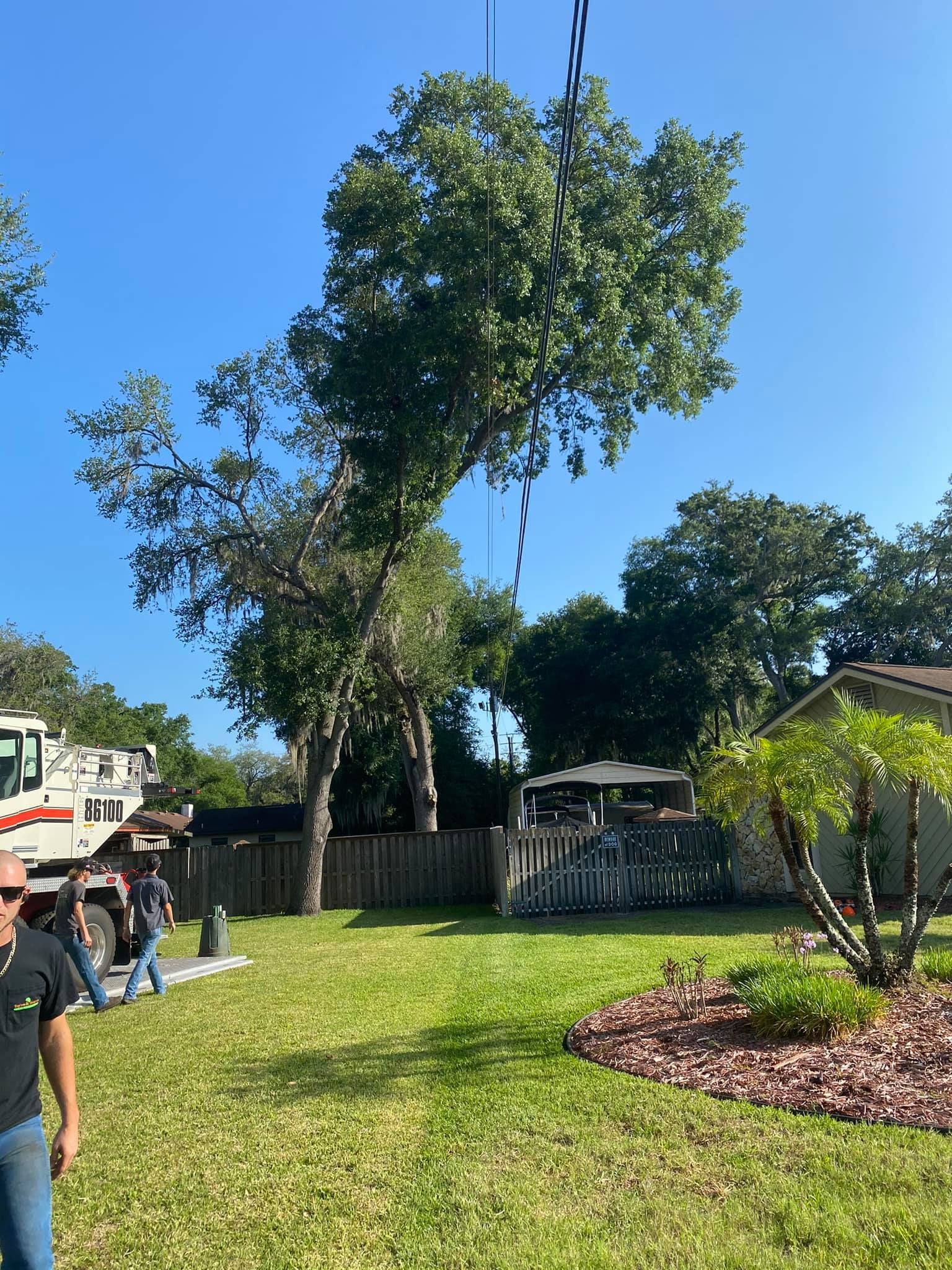 Tree Solutions and Land Management in Sanford, FL