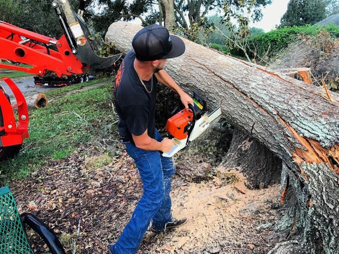 Tree Service and Stump Removal in Sanford, FL