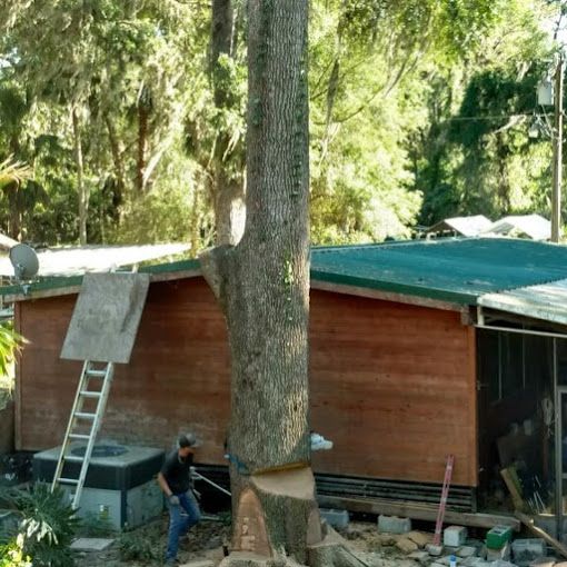 Tree Service and Stump Removal in Sanford, FL