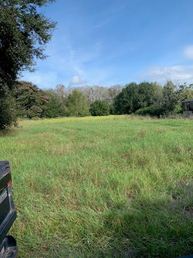 Tree Service and Stump Removal in Sanford, FL