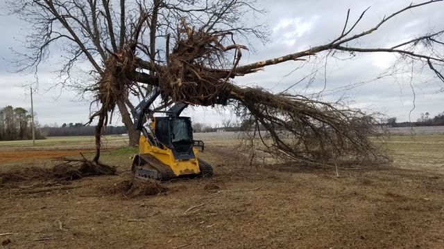 A bulldozer is carrying a large tree branch in a field.