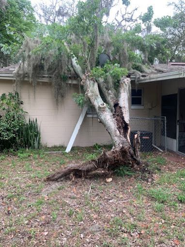 tree fell on house after hurricane
