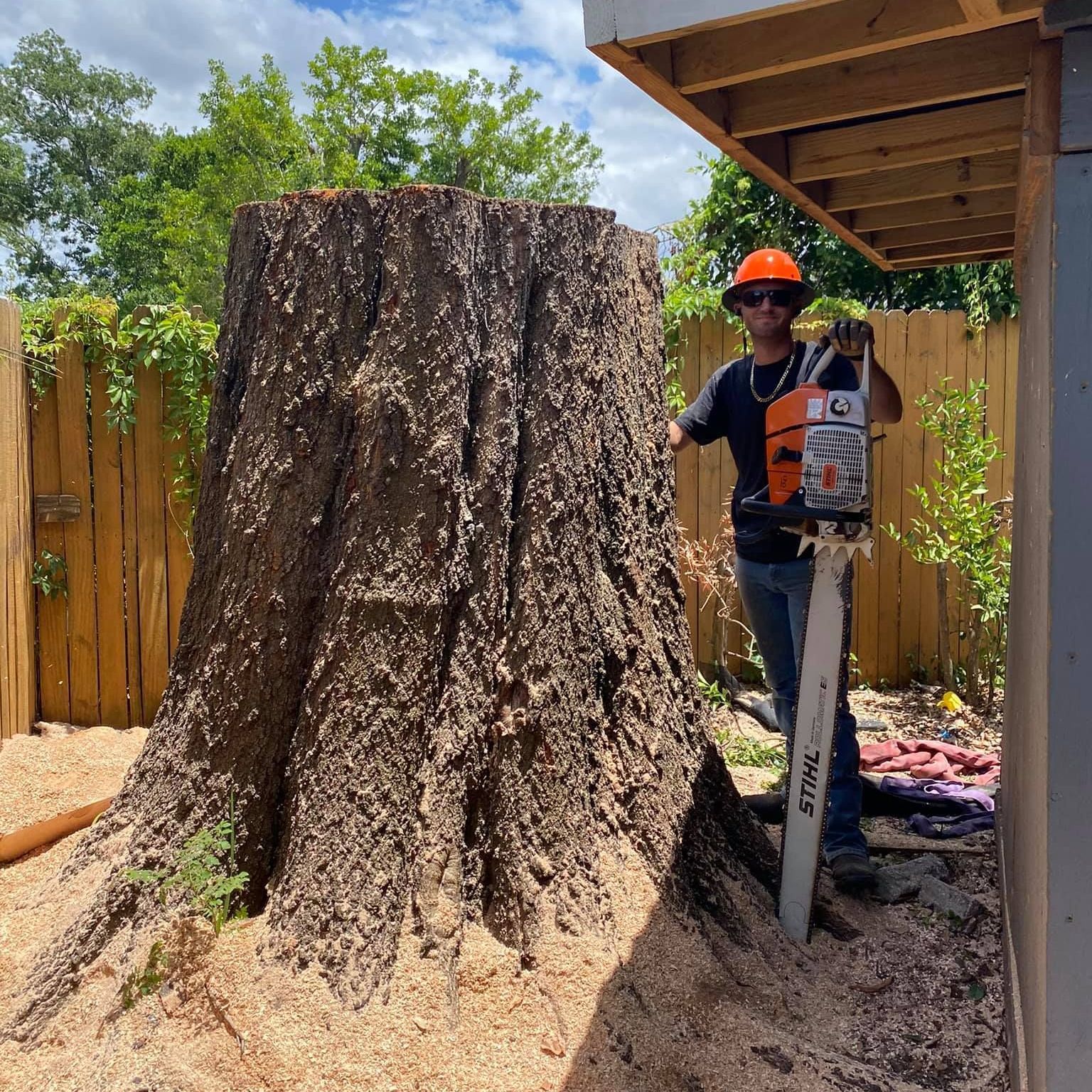 Worker with chainsaw beside a huge tree stump in a sunny backyard
