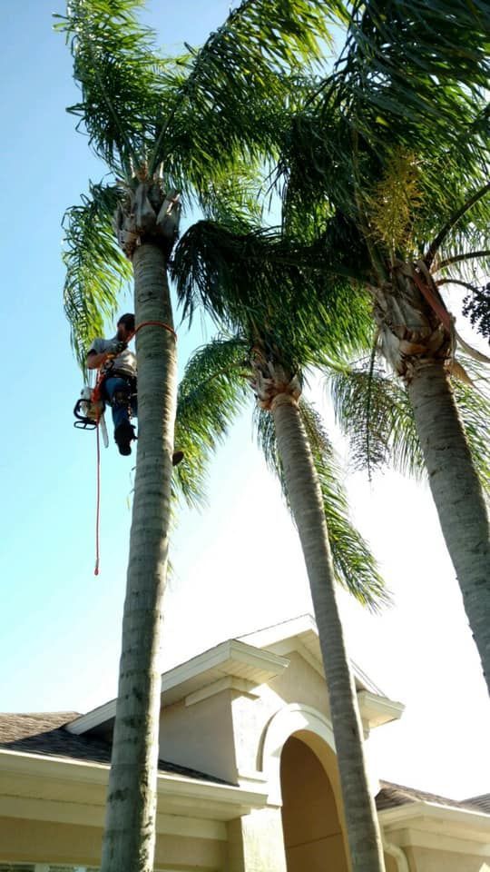 Dirt Work Service in Sanford, FL