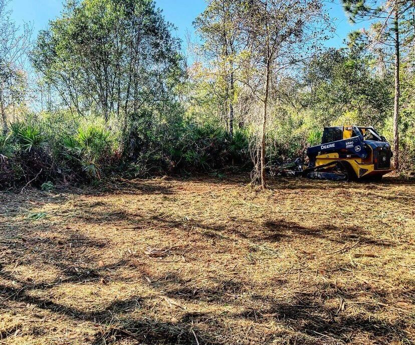 Land Clearing in Sanford, FL