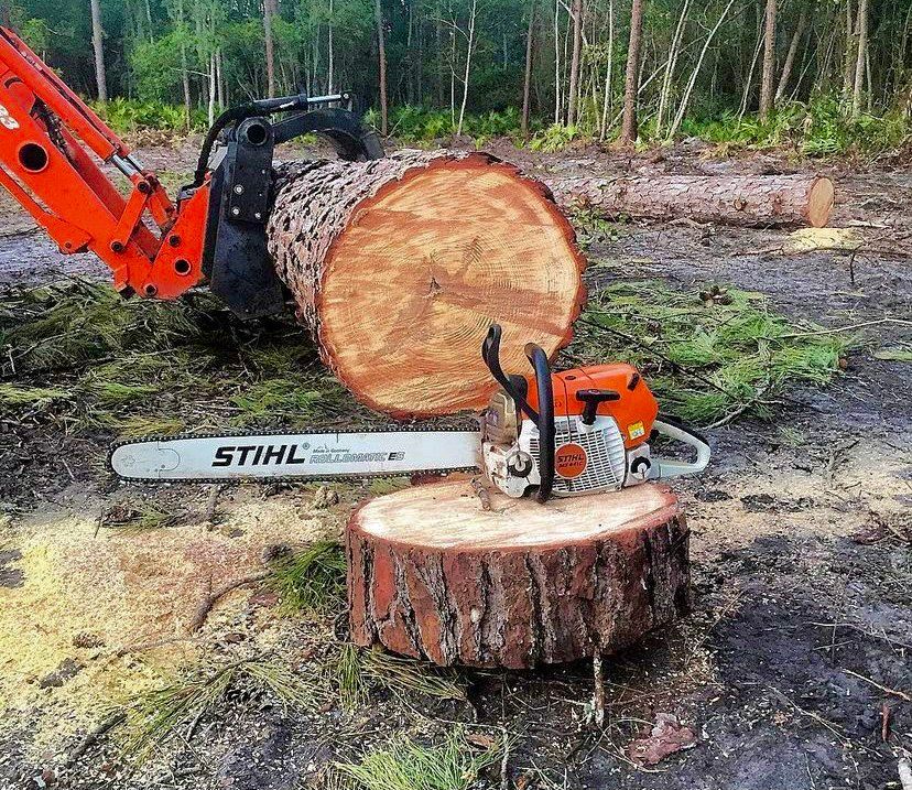 A chainsaw is sitting on top of a tree stump.