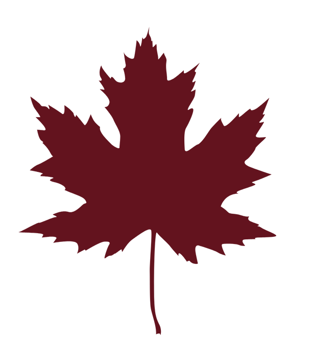 A silhouette of a maple leaf on a white background