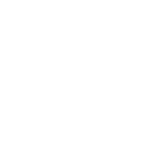 A white background with a few lines on it