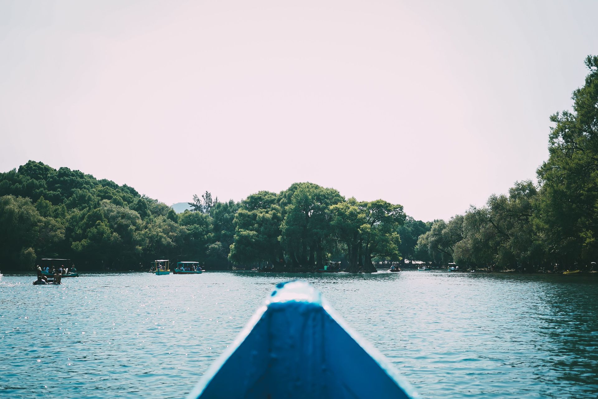 View from a blue boat on calm water, facing a tree-lined shoreline under a pale sky.