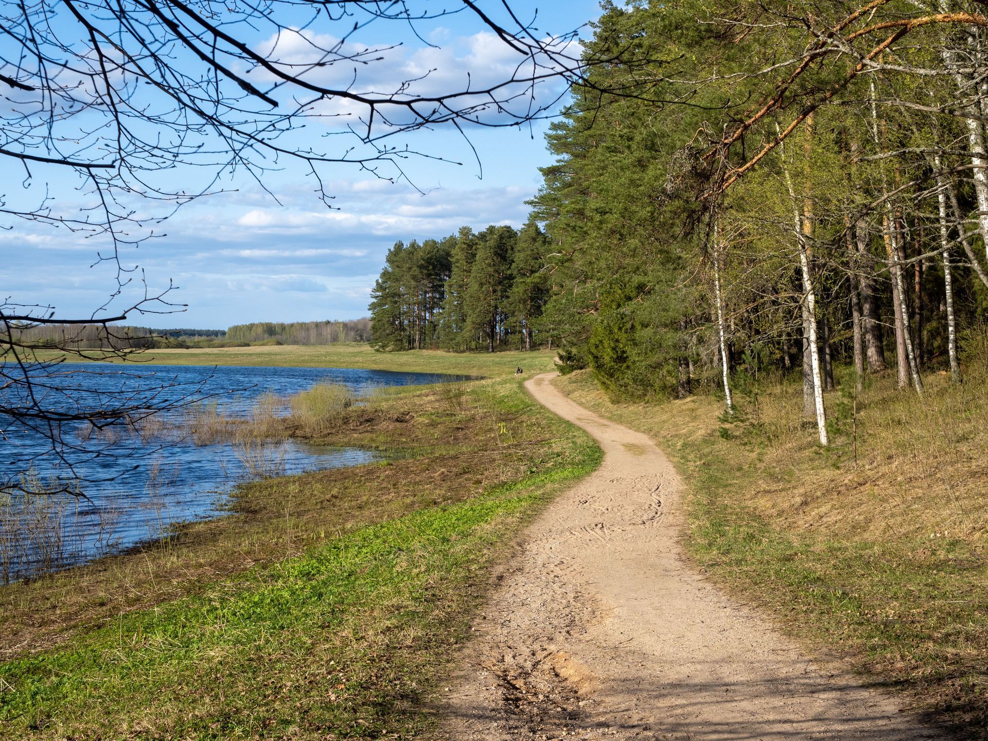 Sandy path winding beside a blue lake and green forest under a partly cloudy sky