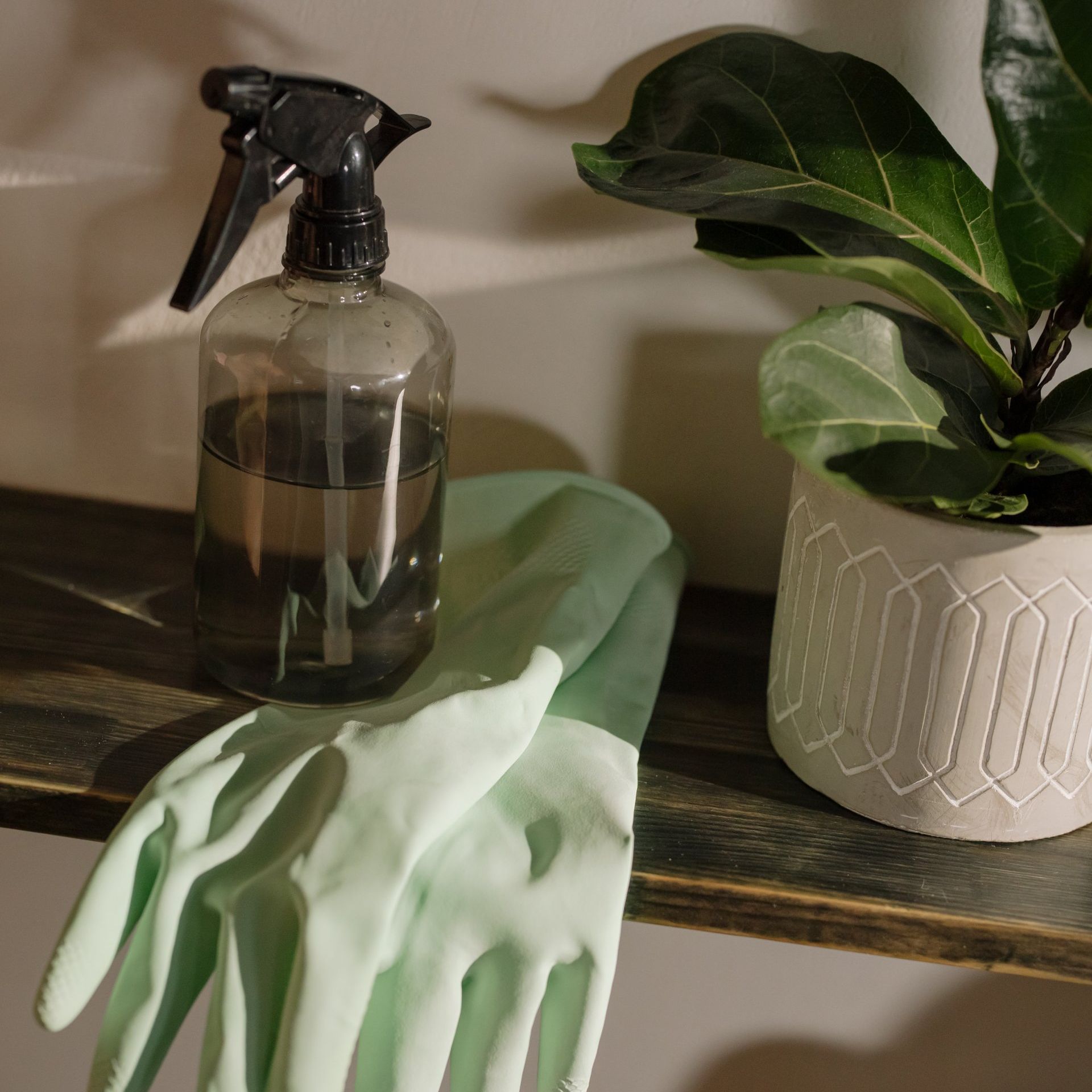 natural safe cleaning, protection, eliminate mold non toxic cleaning products