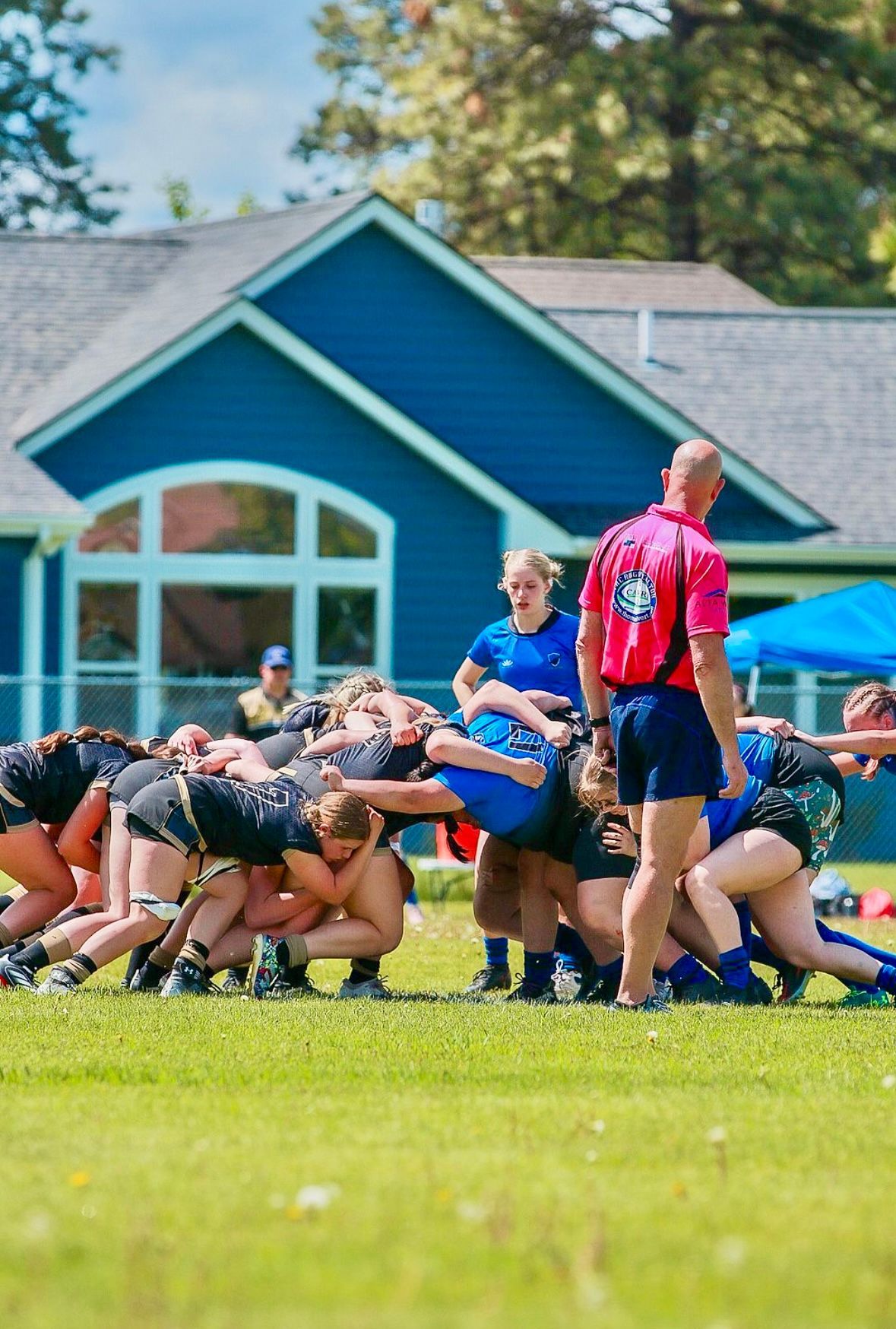 Rugby players in black and blue uniforms scrum on a grassy field; a referee watches in front of a blue building.