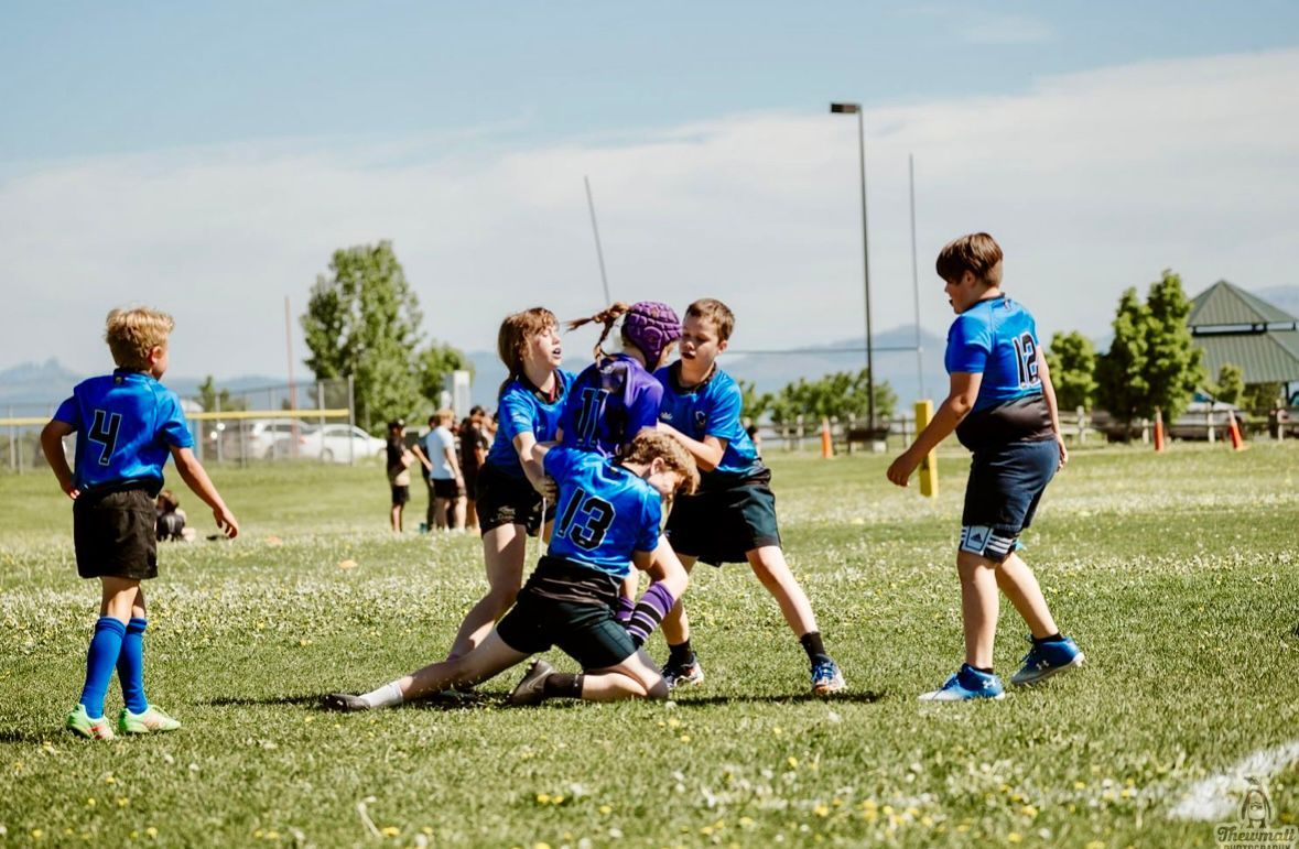 Youth rugby game on a sunny field. Players in blue jerseys tackle, run, and celebrate.