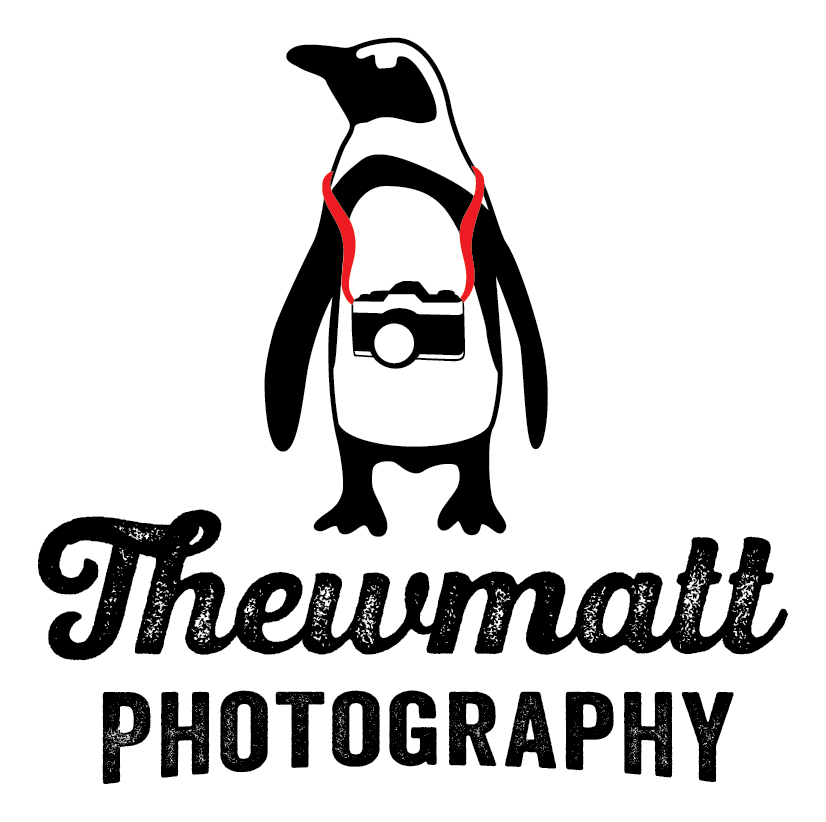 Penguin wearing a camera, logo for