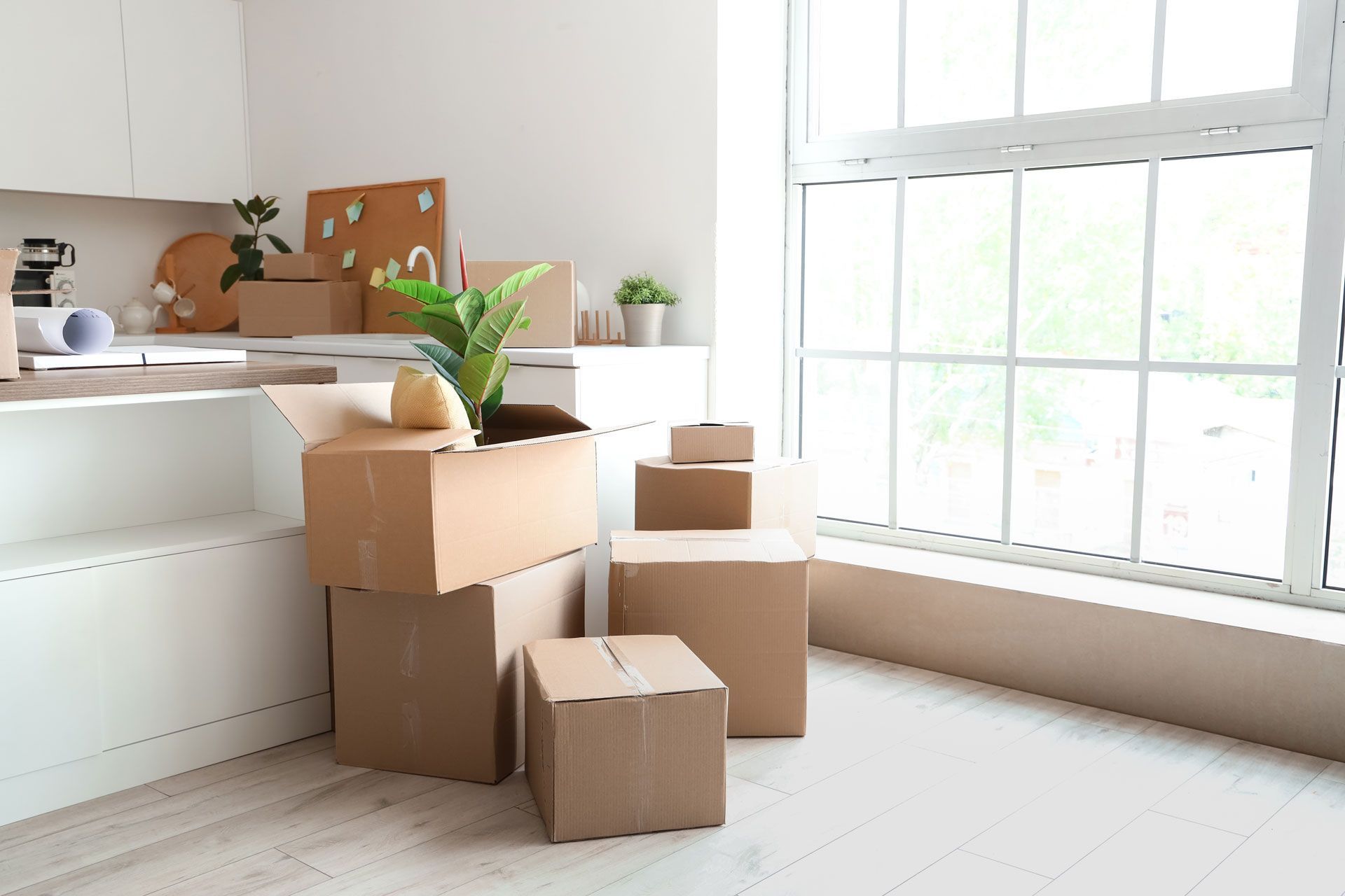 Cardboard boxes stacked near a window, suggesting moving; a plant sits in one.