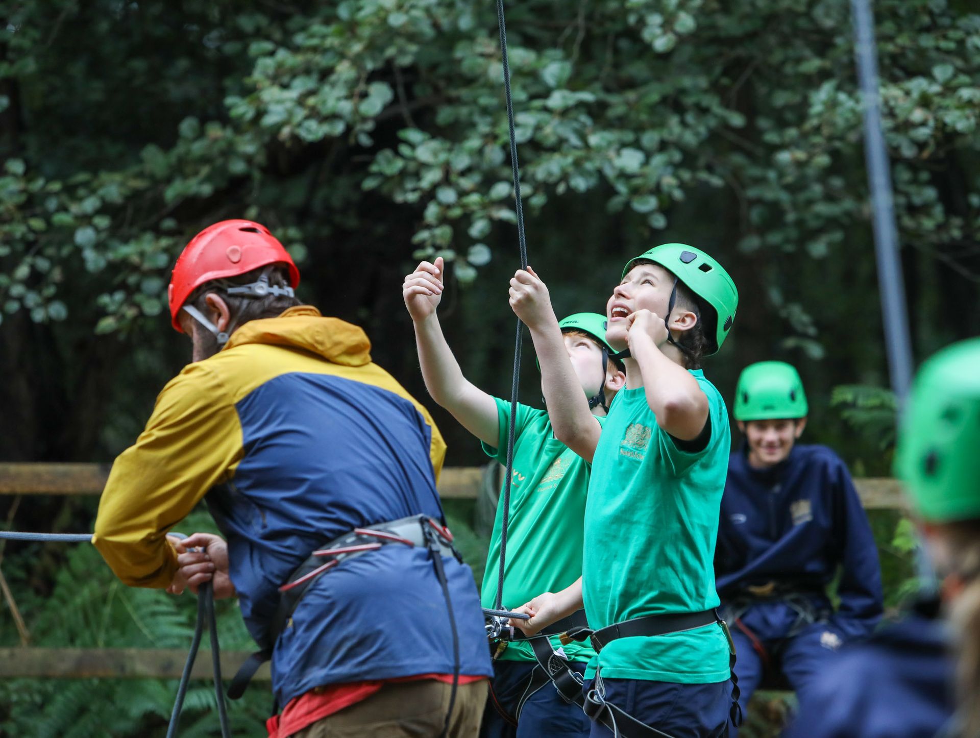 A group of children are climbing a rope in the woods.