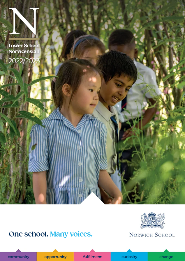 A group of children are standing in the woods.