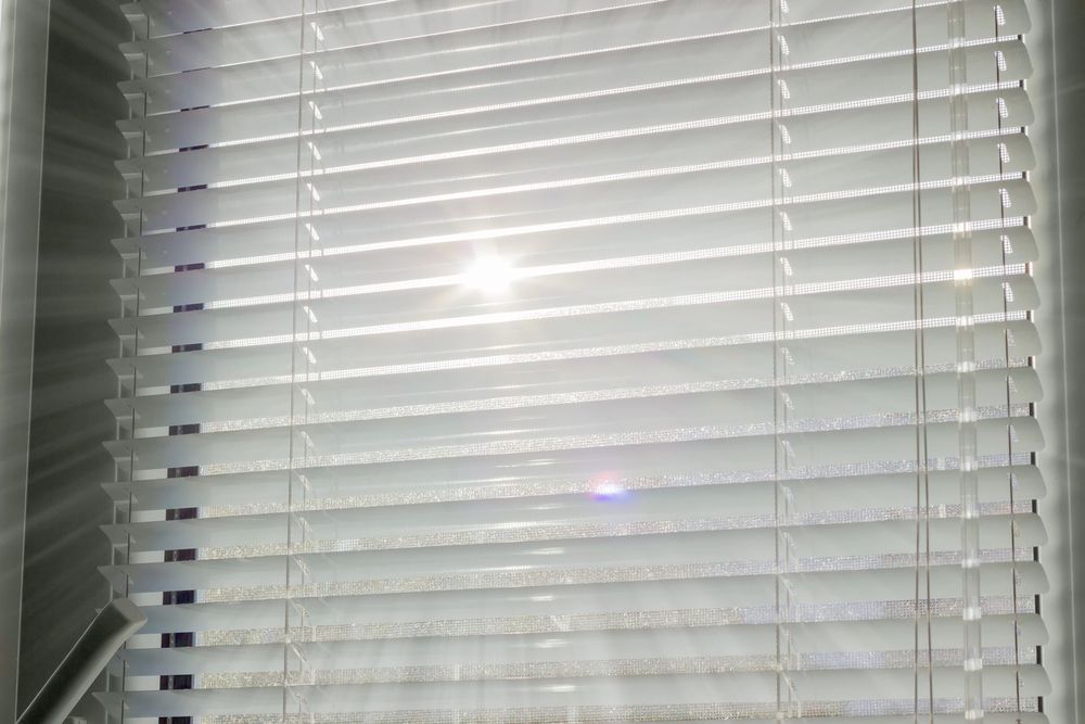 La luce del sole filtra attraverso le persiane bianche, lasciando intravedere gli alberi all'esterno.
