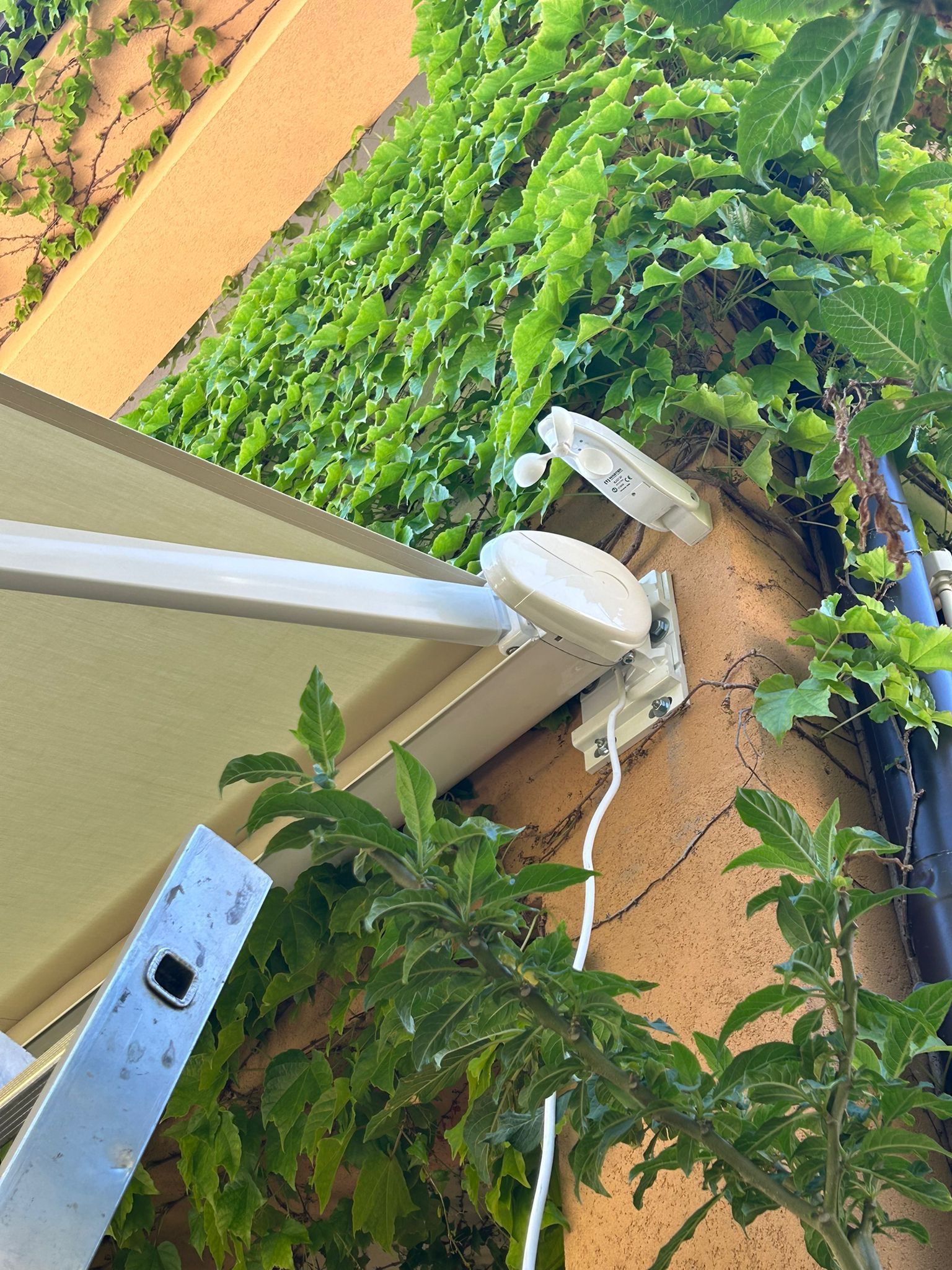 Telecamera di sicurezza bianca montata su una parete accanto a viti verdi e una superficie esterna color beige.