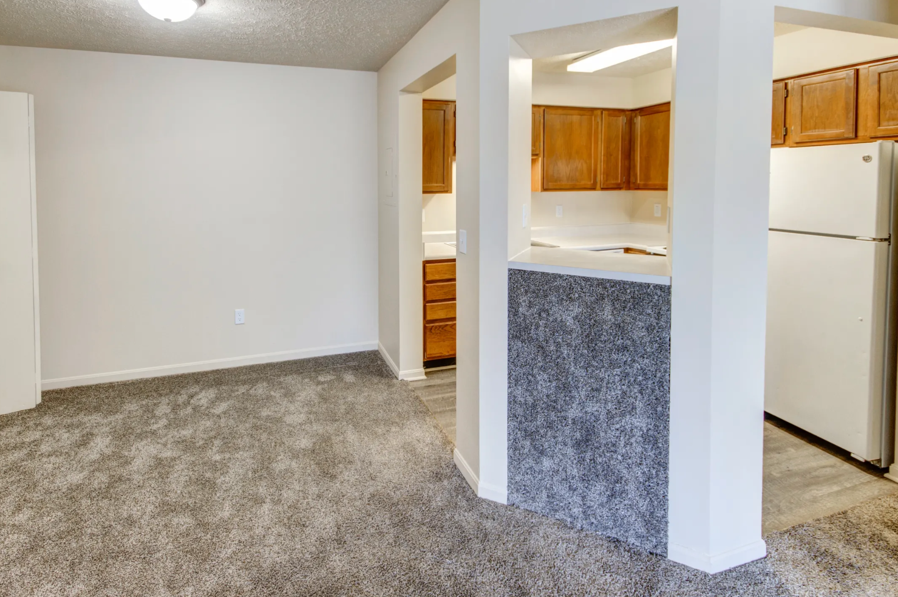 A living room with a carpeted floor and a refrigerator in a house.