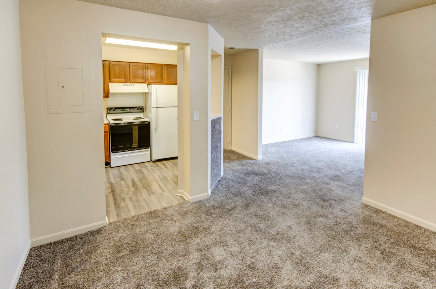 A living room with a carpeted floor and a kitchen in the background.