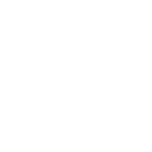 ICBC Logo White