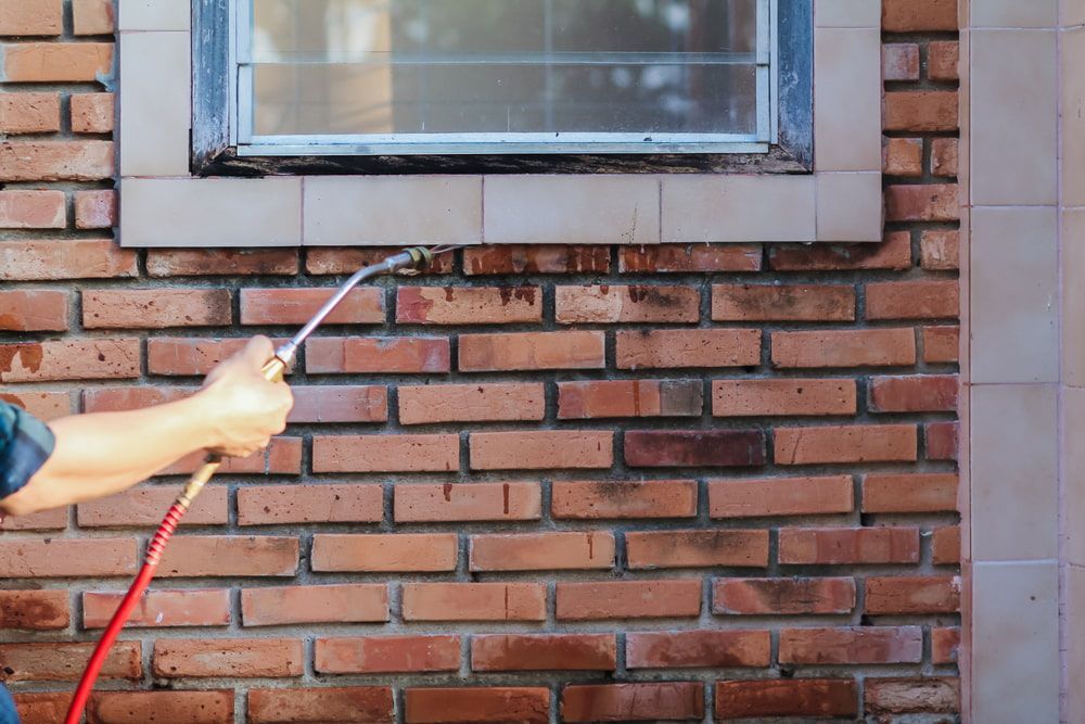 A Person Is Cleaning A Brick Wall With A Hose — Nambour Pest Control In Coes Creek, QLD