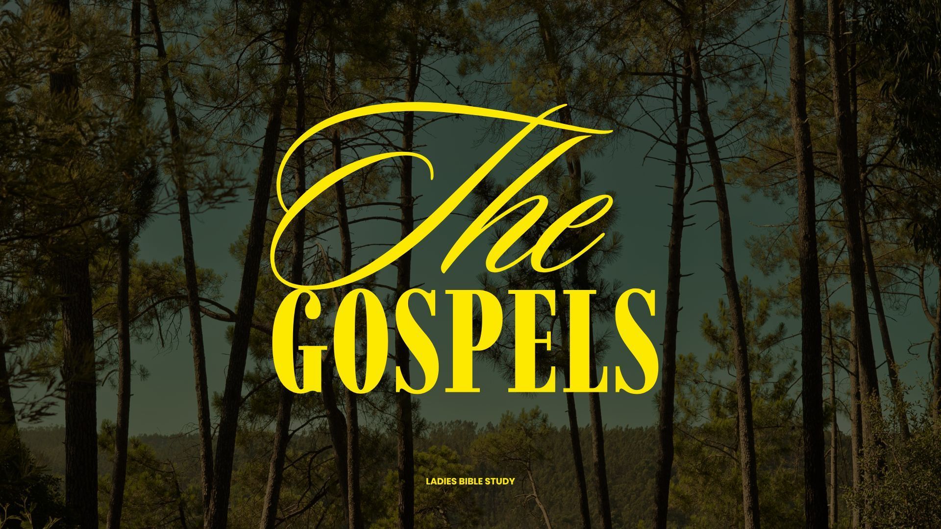 Women's bible study