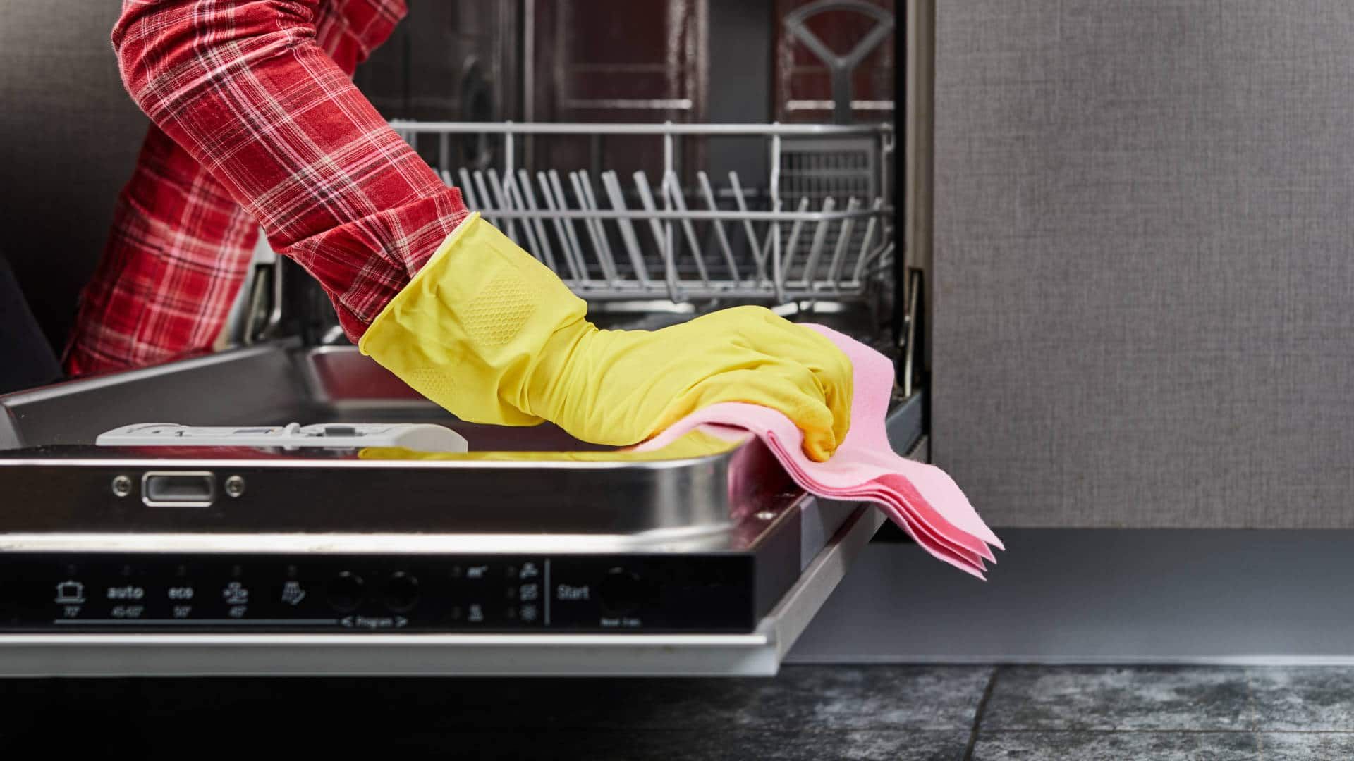 How to Clean a Dishwasher in 4 Simple Steps How to Clean a Dishwasher in 4 Simple Steps