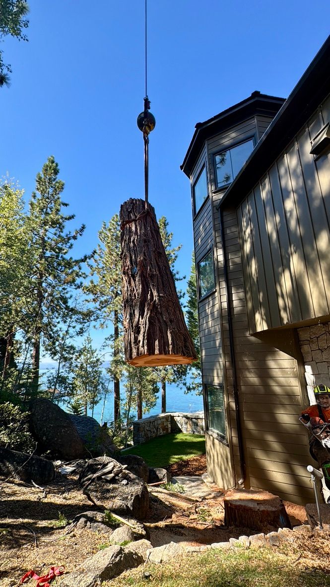 Sierra Crest Tree Services | South Lake Tahoe