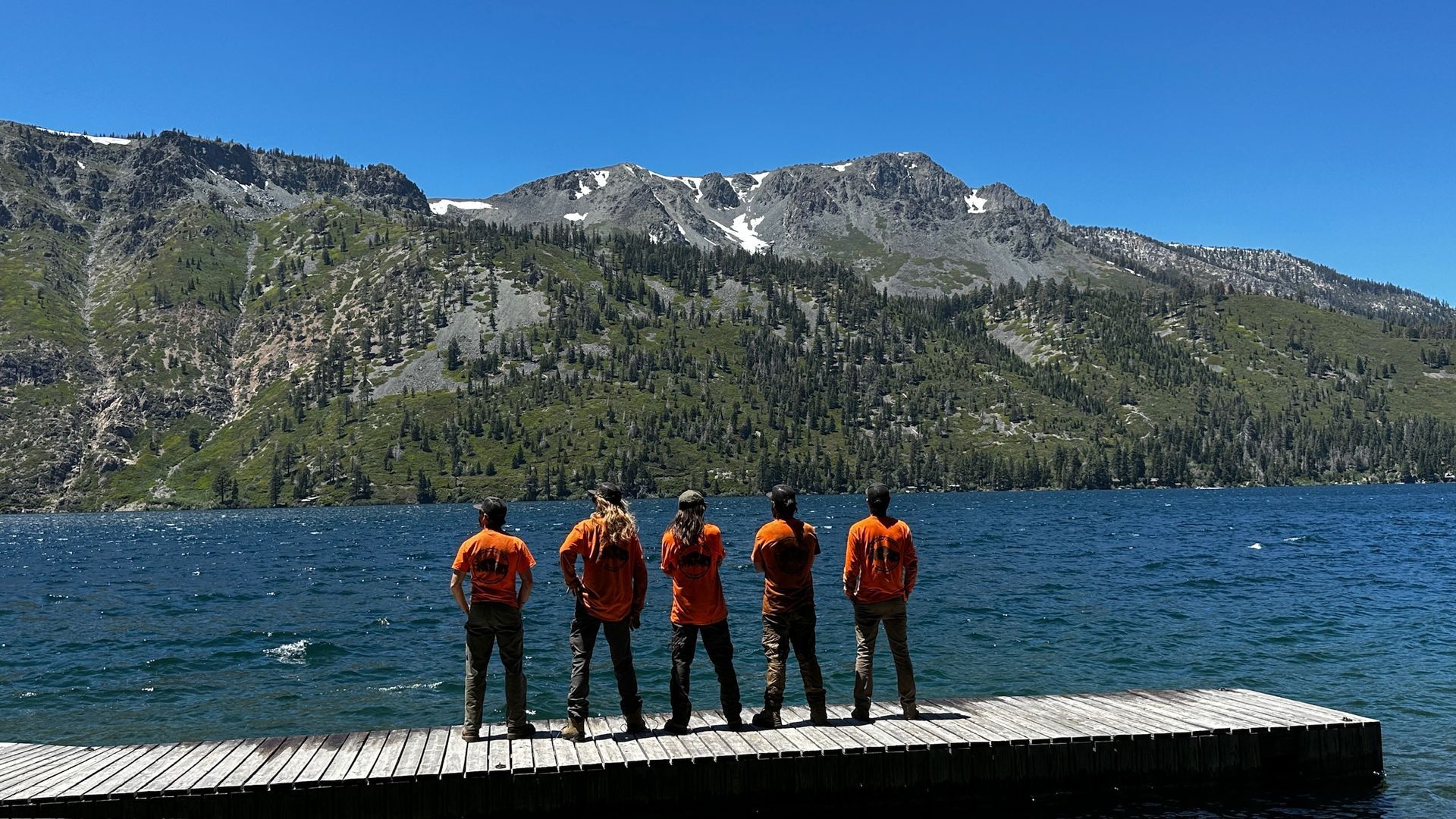 Tahoma CA Tree Trimming Service