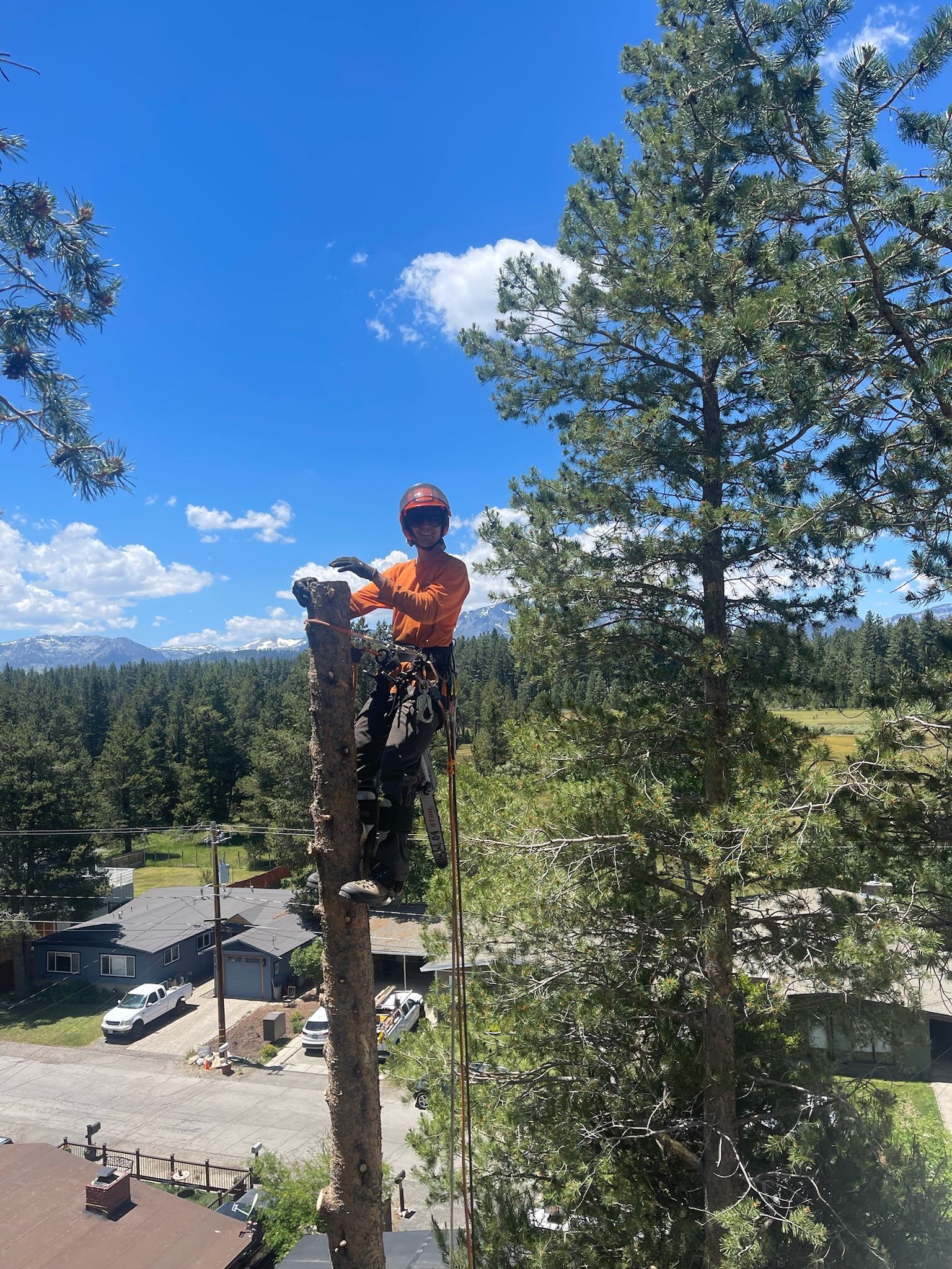 Glenbrook NV Tree Service