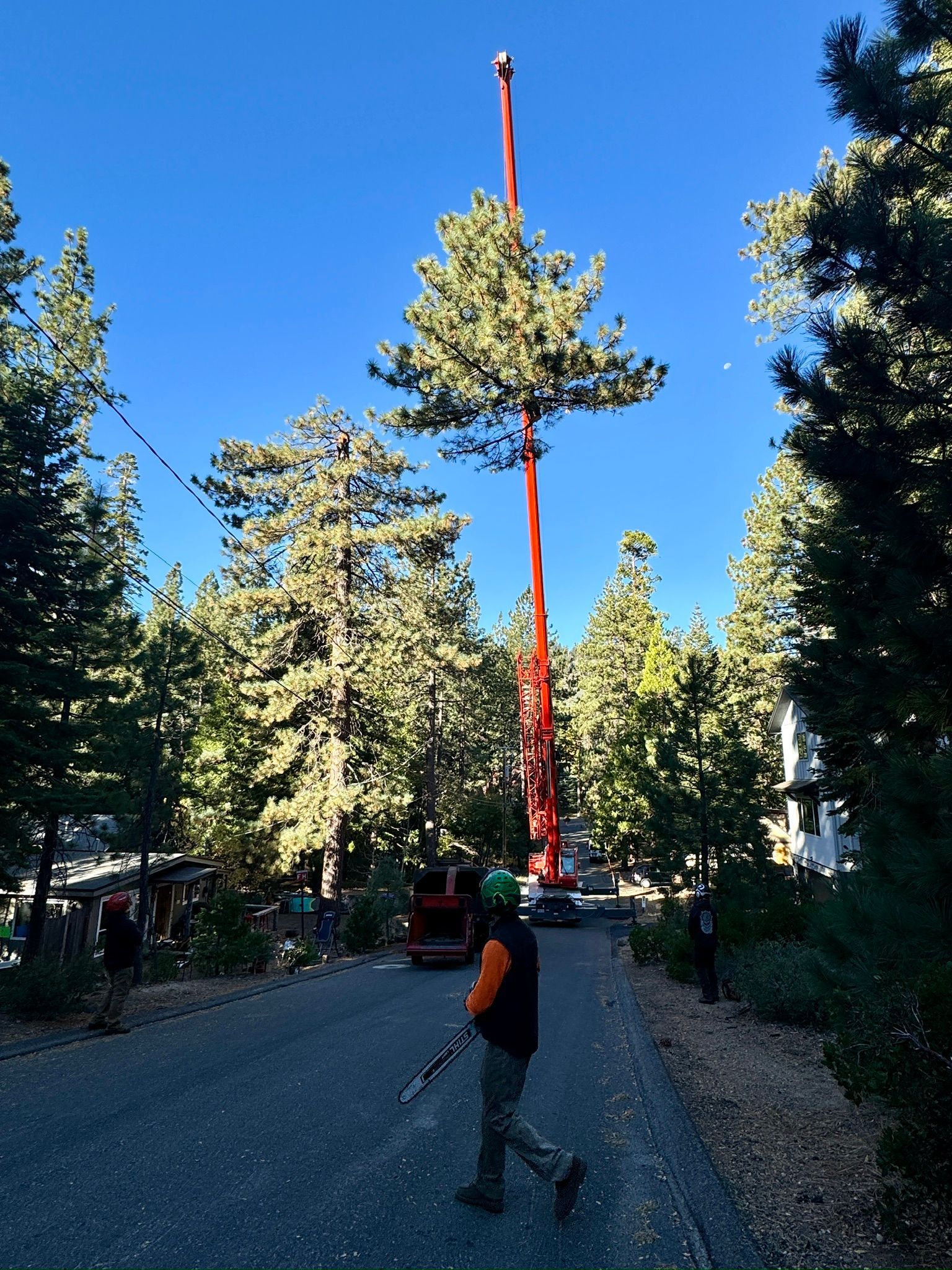 Tahoma CA Tree Removal Service