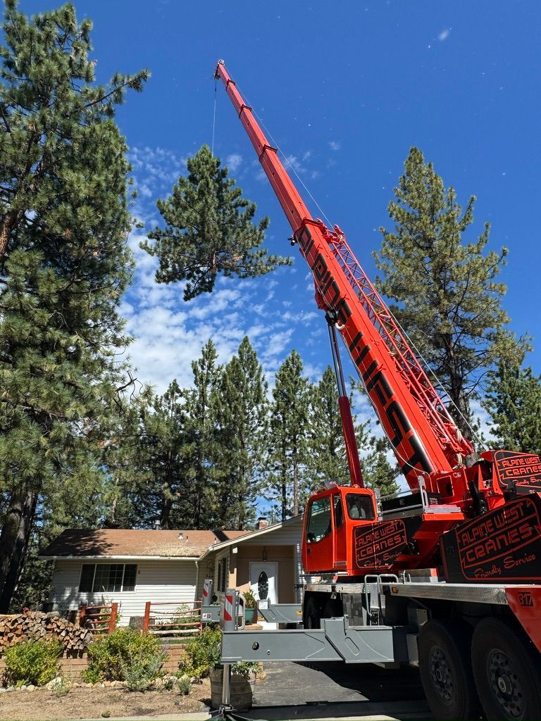 Tree Removal Company South Lake Tahoe