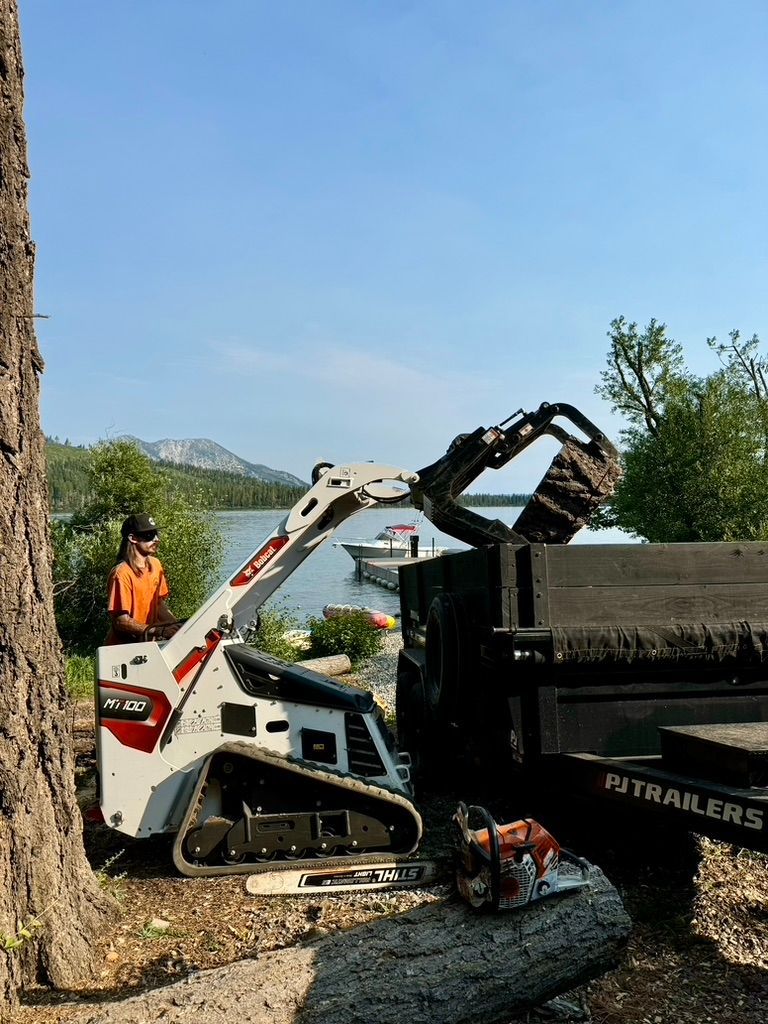 Emergency Tree Removal Company South Lake Tahoe