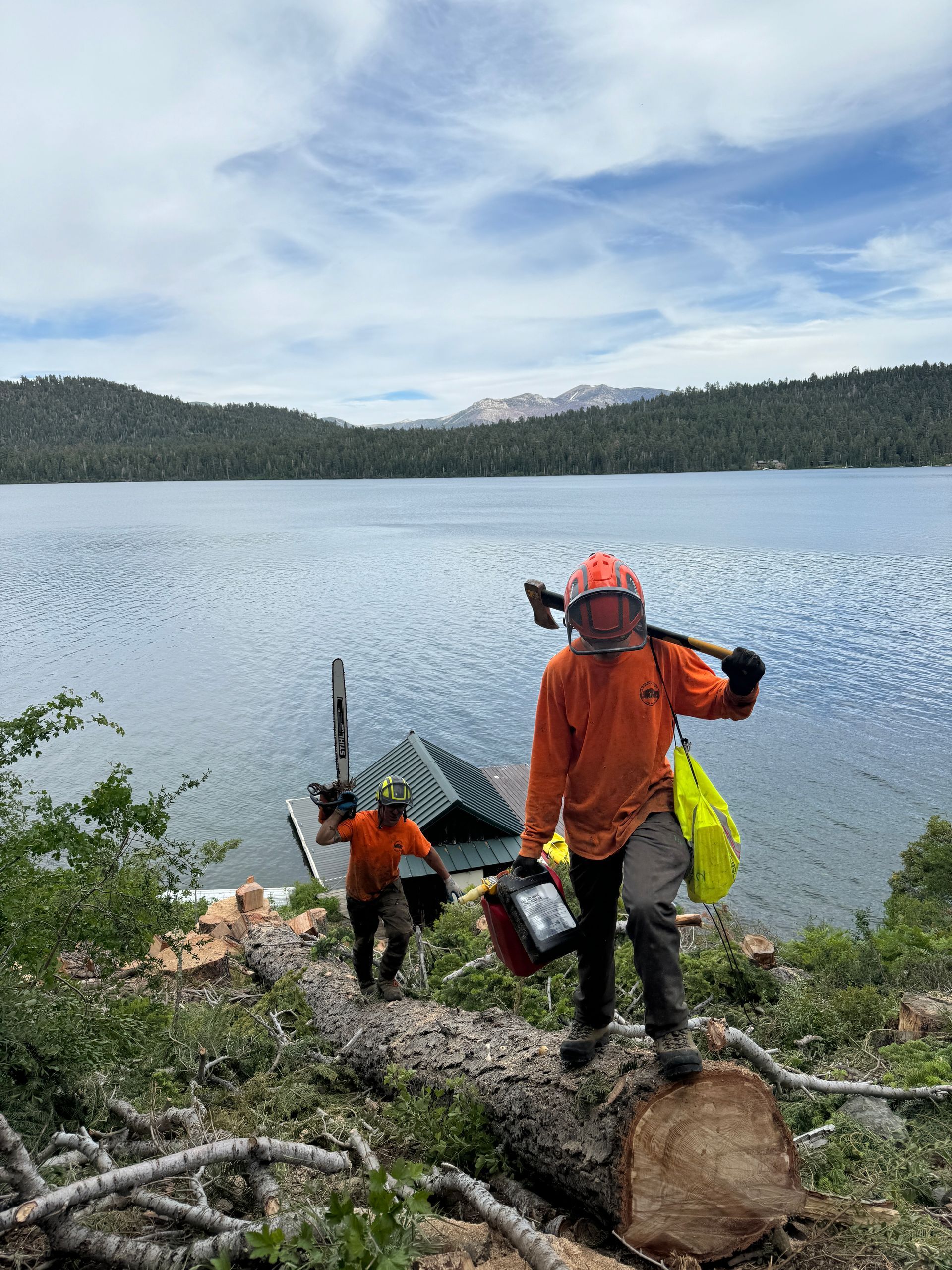 Tree Removal Stateline NV