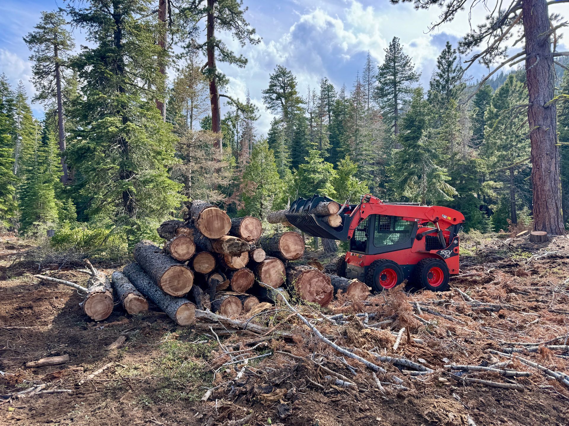 Storm Debris Cleanup South Lake Tahoe