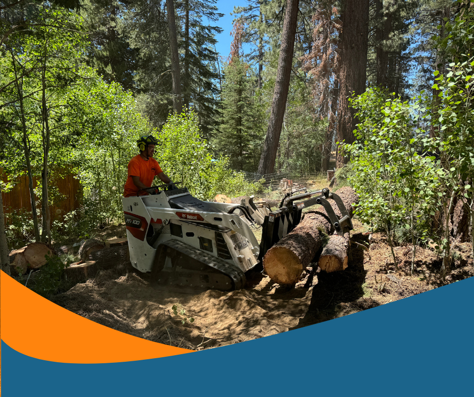 South Lake Tahoe Fire Mitigation