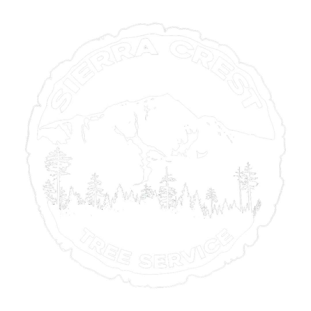 Green Leaf Tree Service Charlotte NC