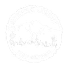 Green Leaf Tree Service Charlotte NC