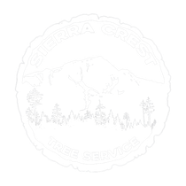 Sierra Crest Tree Service South Lake Tahoe