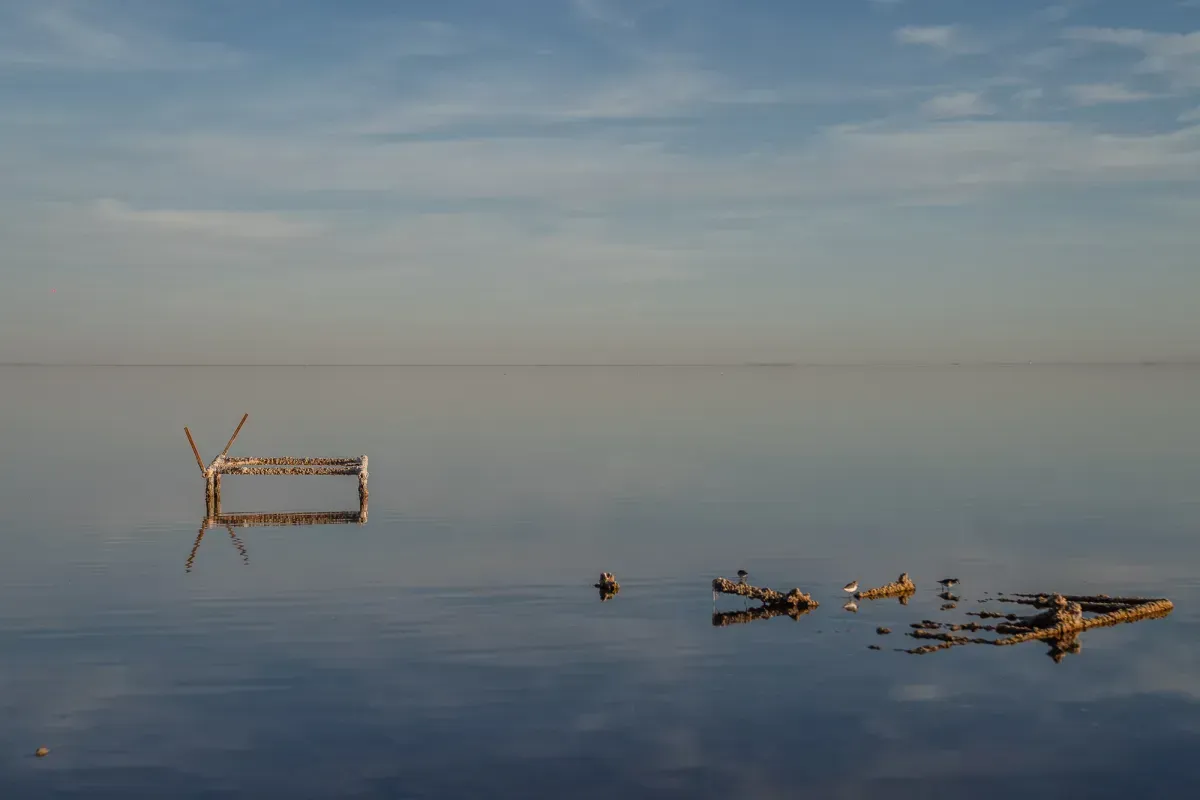 A small wooden structure and debris float on calm water under a pale sky.