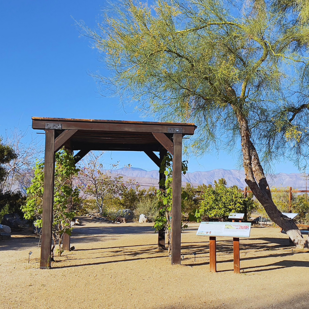 Anza-Borrego Natural History Association - ABDNHA Desert Garden