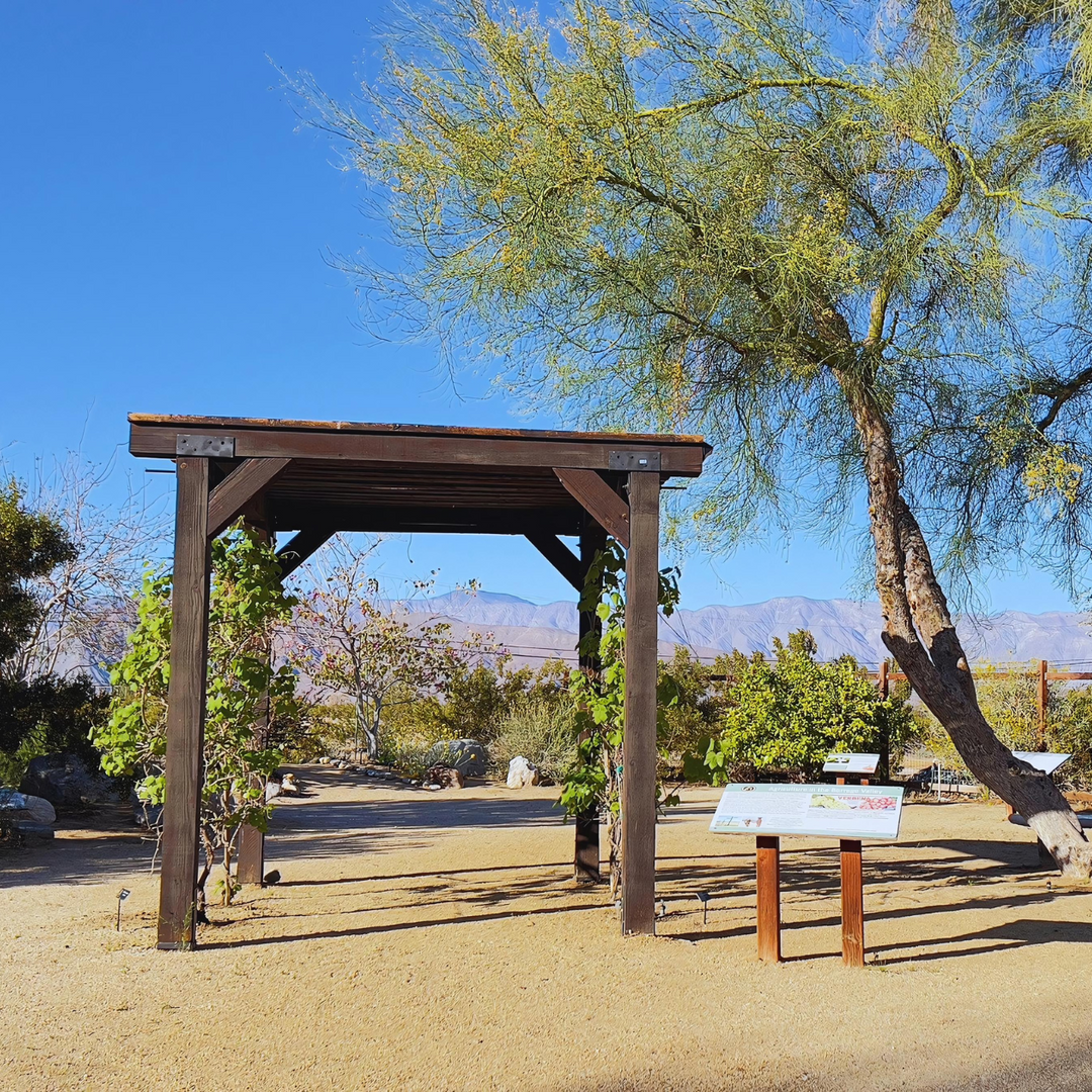 Wooden shade structure in a sunny desert park with a sign and tree against a blue sky