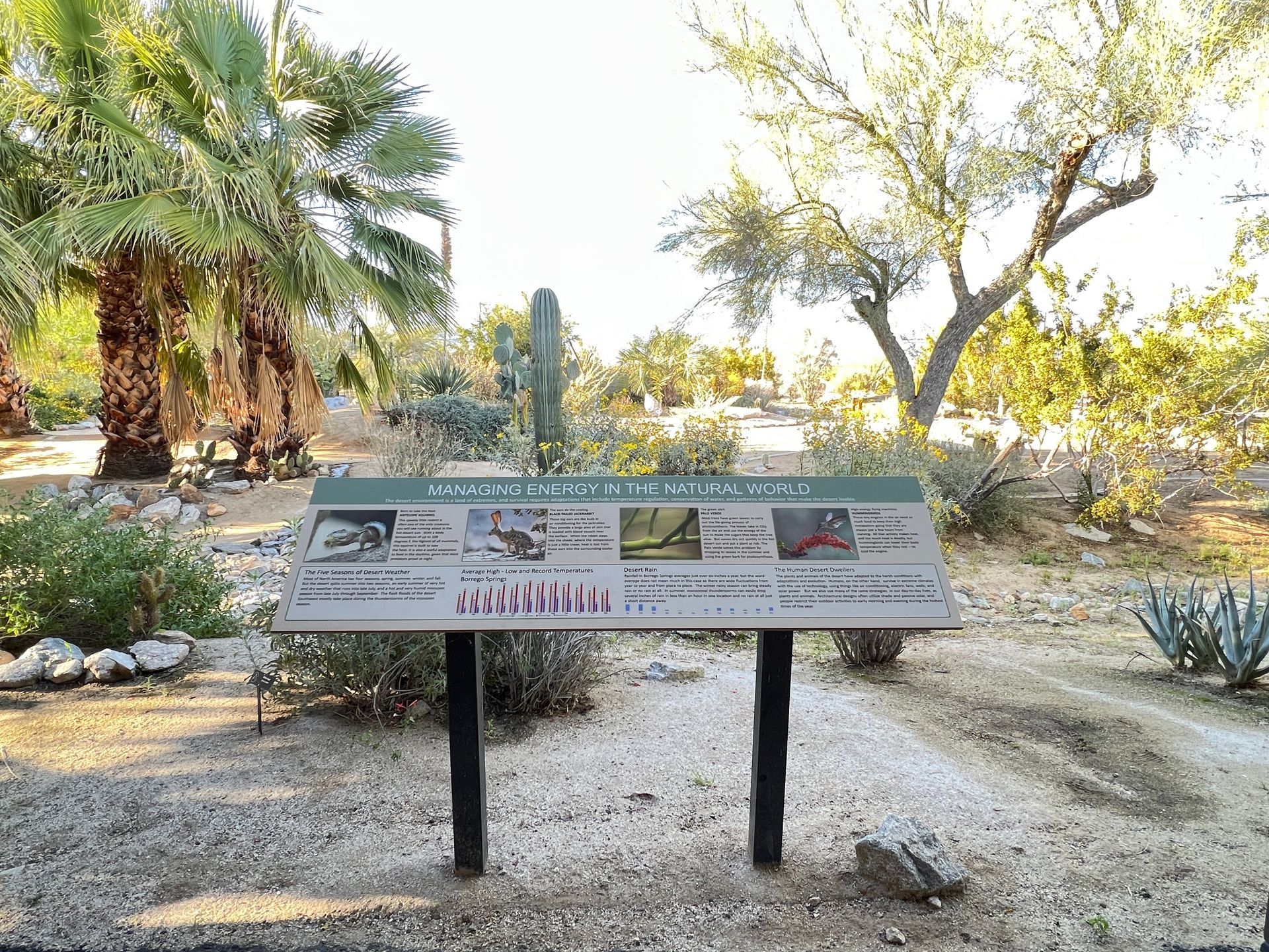 Desert garden trail sign with plants and palm trees in a sunny outdoor landscape