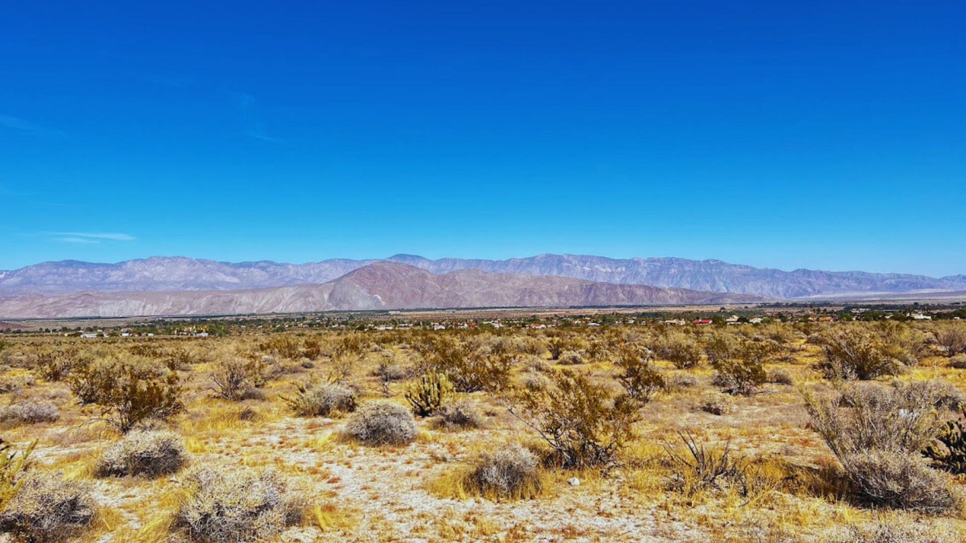Exploring California's Low Desert: Borrego Springs