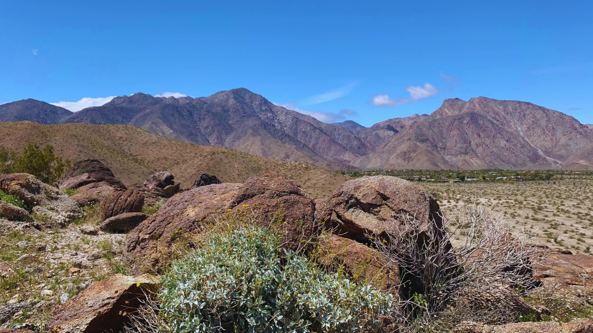 Borrego Springs