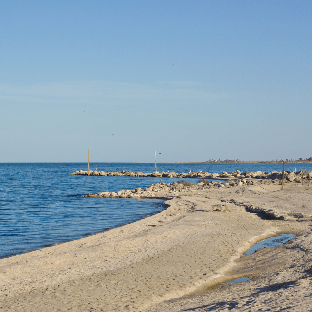 Salton Sea Rehabilitation Efforts